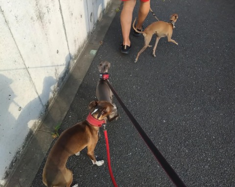 39037956-d167-4fd4-85ef-d744f2dd45cc