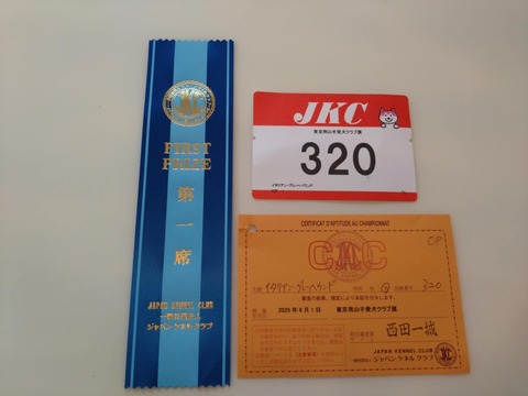 a2f72858-83c3-4f60-8c42-c365d27d440d
