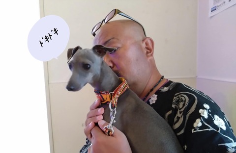 bc65db9d-f892-456f-9741-5f29b28eb72c