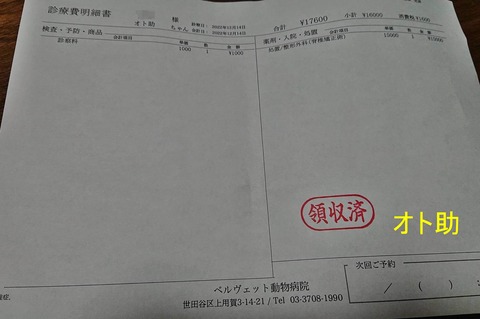 320056705_521911793221251_5161926575848954493_n