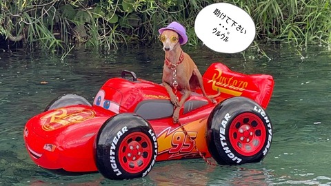 80330c97-277c-47aa-bf42-06733ac0bb5f