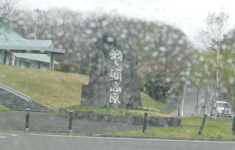 DSCN9667