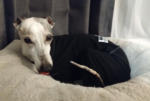 299b0007-ebb7-40a9-92ca-6052ad6989c6