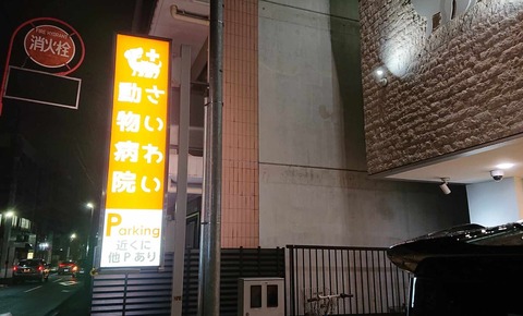 421773947_1410711543164250_7541245563037018581_n