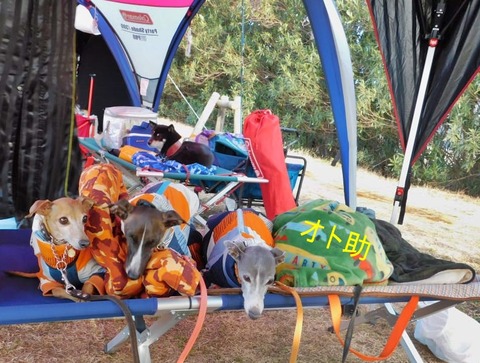 274010742_953602312261193_7067659165249538786_n