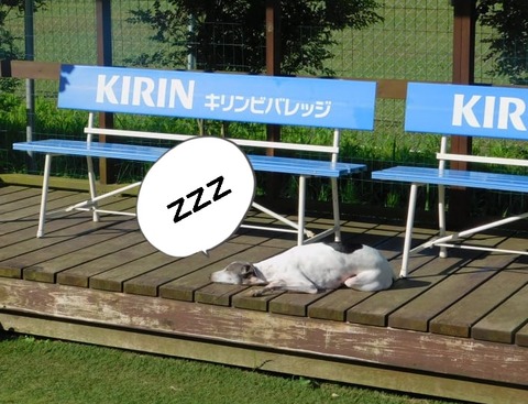 223053207_998538967549022_4099208312208174735_n