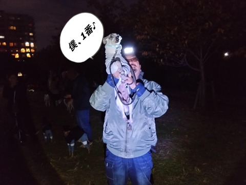 6e19e0aa-0097-49d0-8f41-648c4d99a0a5