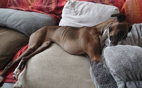 278587618_699859924793192_3187137478267658037_n