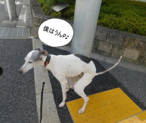 DSCN5822