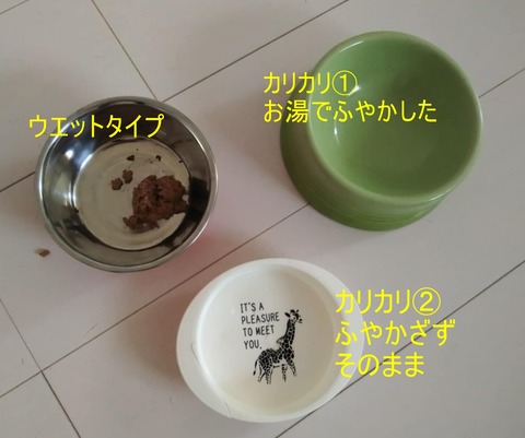 c09b701a-5483-415a-bd70-89012eb3f97f