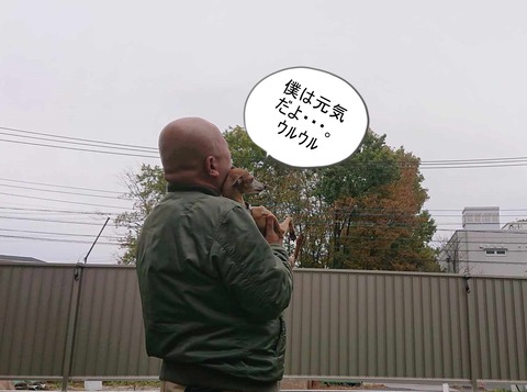 0d37957d-4254-4464-aa4e-e838b4691f05