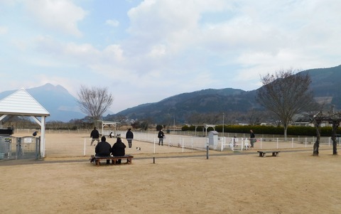DSCN9096