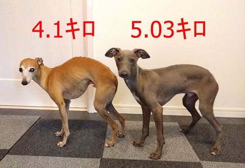 a0f8d332-d8b4-4ceb-8d22-40e63fcc39cb