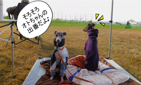 260611926_1193893711020122_2612646067738329314_n