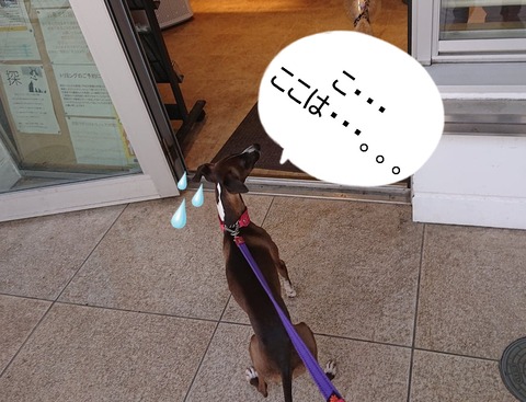 278283109_3253650184912012_8390072627231677371_n