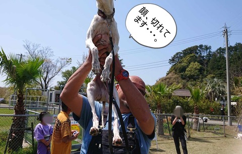 d8d7d05a-f1bd-4a71-b0cb-64a1b9b078da