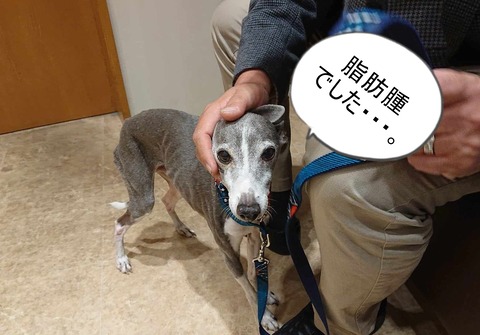 423472439_411627131448398_2717666117824195601_n