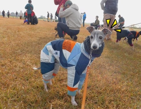 260335970_634181230947449_2671278930196872549_n