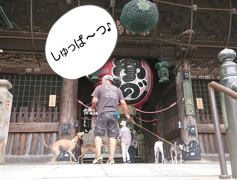 355063584_931322684836800_727328644093062093_n