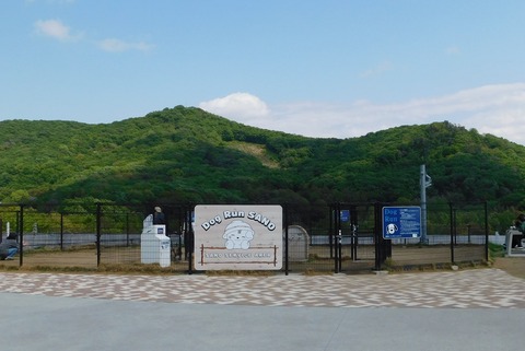 DSCN9440