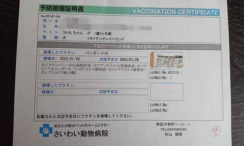 273065768_463438498858159_5084199079392324434_n