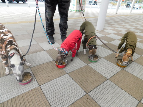 DSCN9657