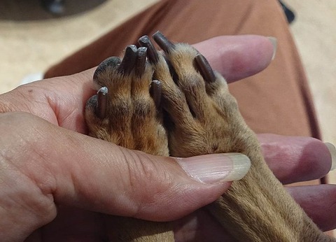 355957146_277466694786142_2728894086540090761_n