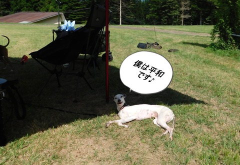 DSCN6631