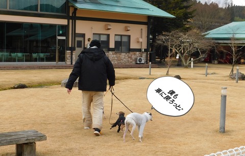 DSCN8315