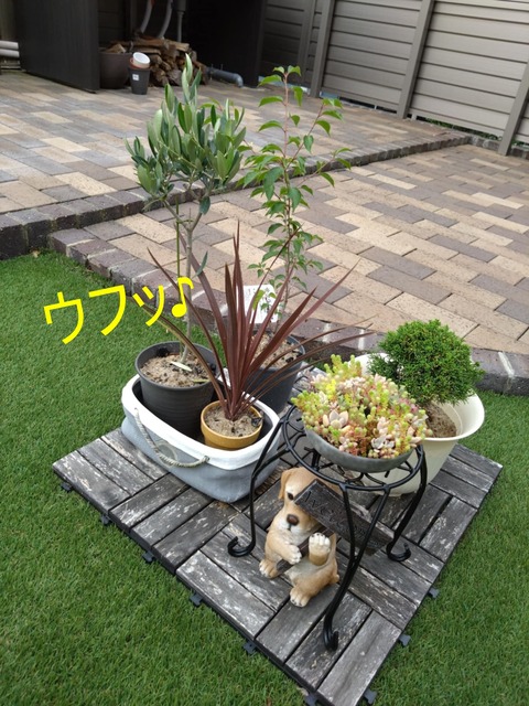 9e0789c1-b1c5-4ccf-ac92-c6724aff37ec
