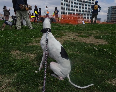 176476308_468319437735756_6624967434244362305_n