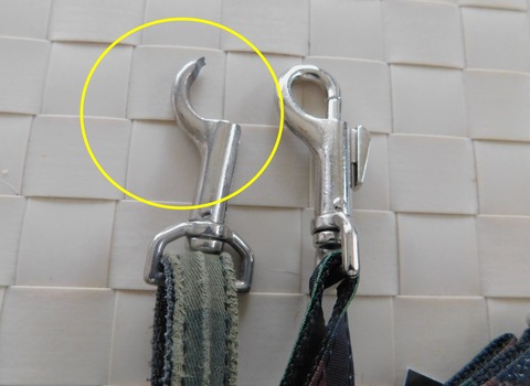 308033017_859573641664037_7930745817546891608_n