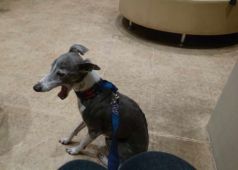 429719946_1135387957458569_6260535927183506605_n