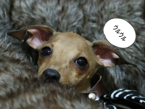 0dbbbba5-ce74-450b-a03c-ca74ac276ce8