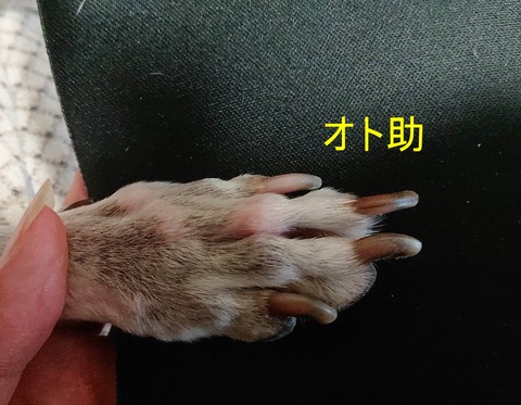 355588365_123372350783819_5319115284616928827_n