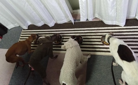 1ed544b8-2592-4e80-826c-c2e41762a603