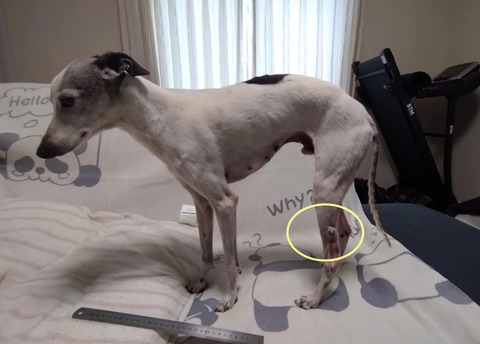 533a0173-d7b1-49d9-8f13-4c25dca66c2c