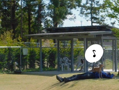 278546232_1165266790876324_1918657593879343222_n