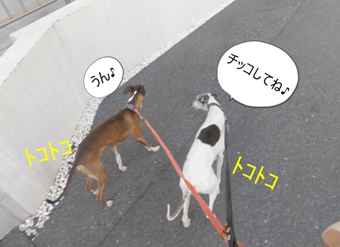 DSCN5818