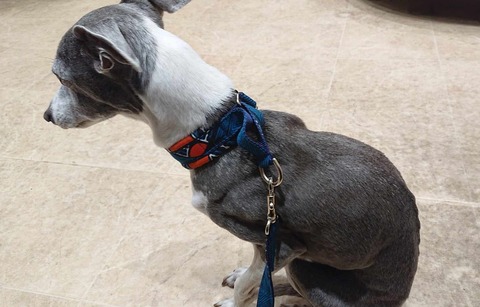 428052698_1086791912605485_8576265070104325919_n