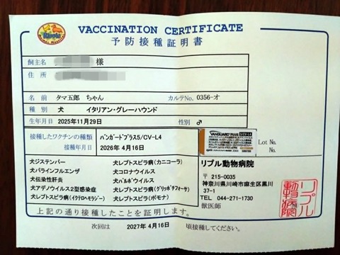 ba29eb09-4d78-4538-87b8-18023f58d88a