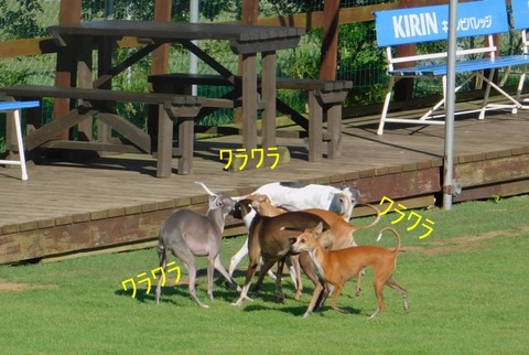 224617187_260532772145097_1444296103989180860_n