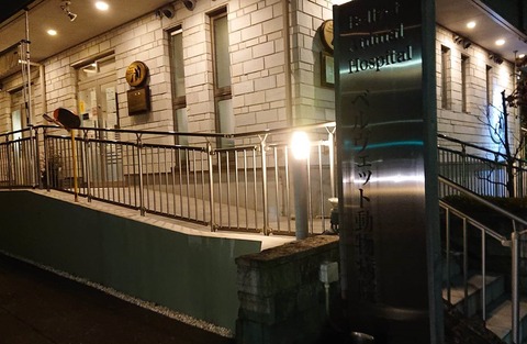 320925107_692824659183710_1027048166987456083_n