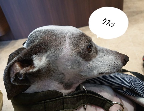 278017294_1344501269385978_2133098094590187413_n