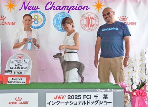 c2143a61-9c6f-49a5-8588-a0067deeb267