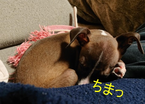 2ed4a20e-a77d-4ff6-97d9-0e97fcaf55f5