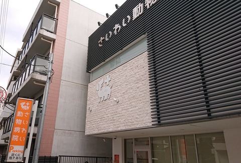 278105789_565194378045566_734016135877364948_n - コピー