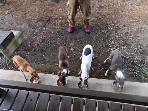 311060719_507999504208272_2381465258035120945_n