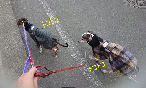 258325701_2078876718971313_8026059646590651339_n