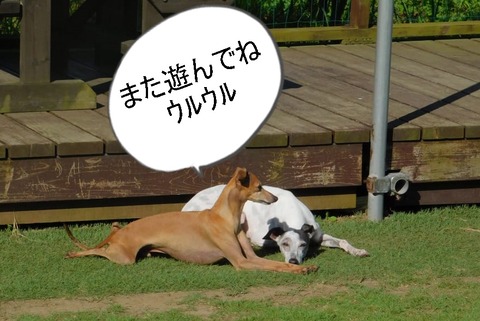 224908695_111402107796962_7572436720456461456_n